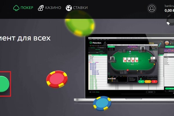 Через какой браузер можно зайти на кракен