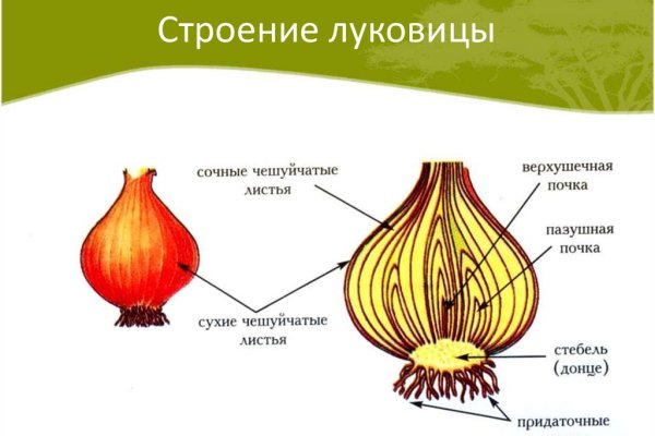 Кракен площадка ссылка