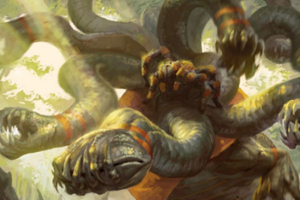 Kraken place