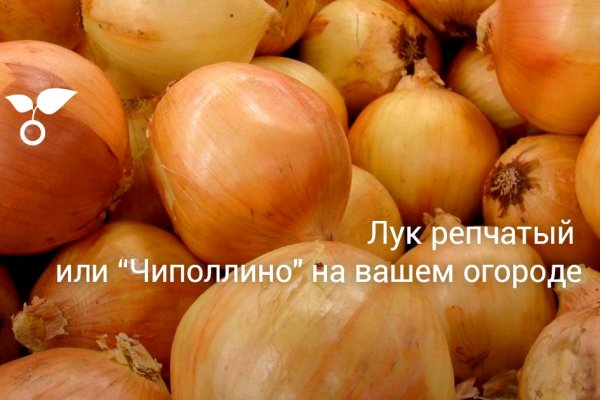 Кракен 9ат