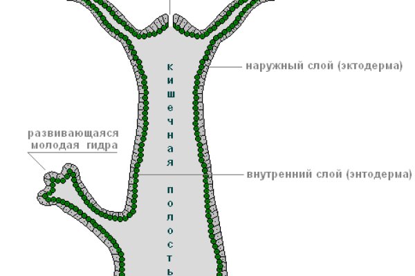 Как найти актуальную ссылку на кракен