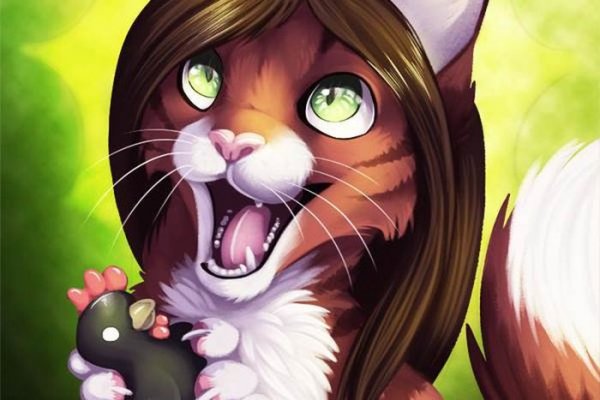 Магазины наркотиков