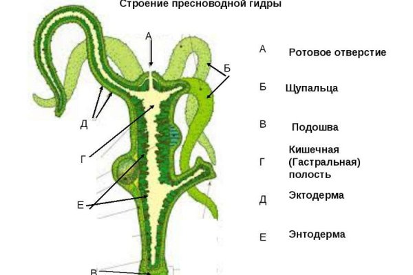 Кракен 22