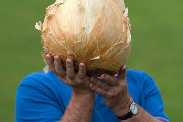 Kraken onion ссылка
