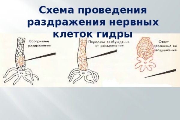 Ссылка на кракен онион