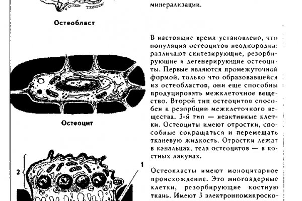 Можно ли восстановить аккаунт в кракен даркнет