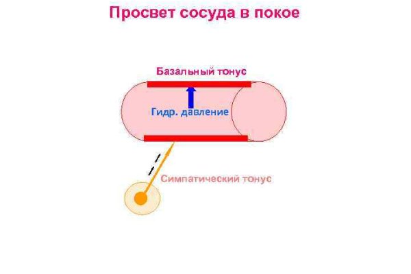 Кракен дарк оригинал ссылка