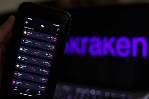 Kraken 24 top