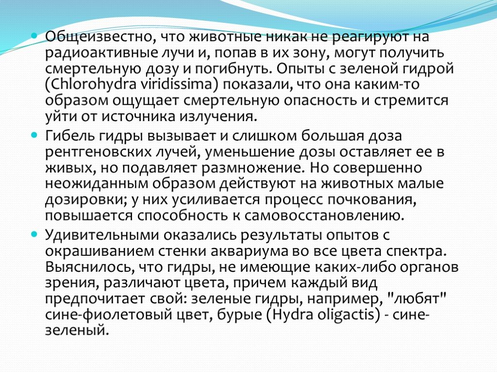 Вход в кракен даркнет